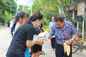 IMG_8182_800x533